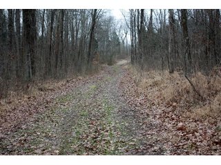 Property photo 8 - LAND AUCTION - 138+/- ACRES OFFERED IN 3 TRACTS IN SPENCER COUNTY, INDIANA